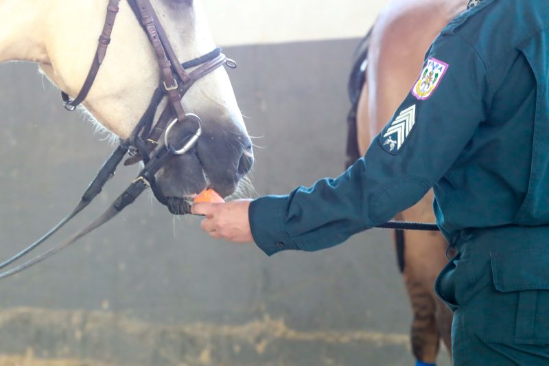  <div class='credito_fotos'>Foto: Bruno Cruz / Ag. Pará &nbsp;&nbsp;|&nbsp;&nbsp; <a href='/midias/2024/originais/20608_f40def9b-480f-3f64-d8d8-b87a7666eb4b.jpg' download><i class='fa-solid fa-download'></i> Download</a></div>