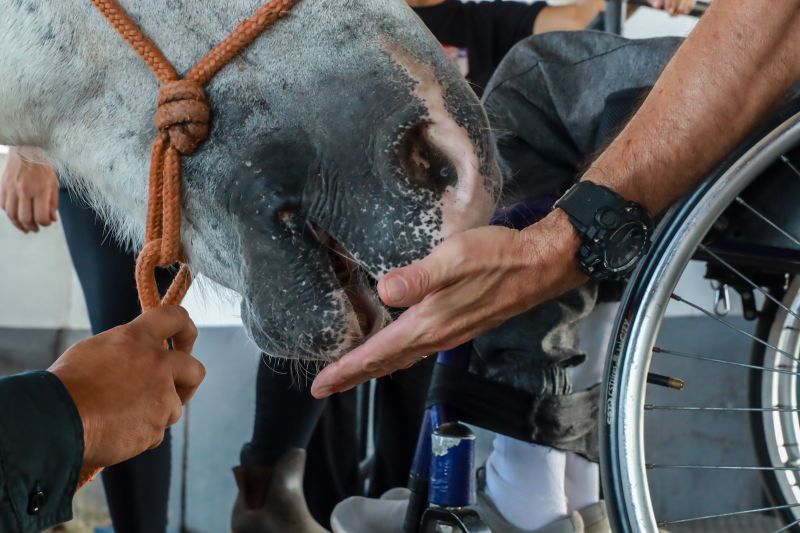  <div class='credito_fotos'>Foto: Bruno Cruz / Ag. Pará &nbsp;&nbsp;|&nbsp;&nbsp; <a href='/midias/2024/originais/20608_f4d1e532-50bc-84bf-3876-5cb9218f09e1.jpg' download><i class='fa-solid fa-download'></i> Download</a></div>