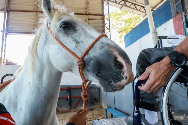  <div class='credito_fotos'>Foto: Bruno Cruz / Ag. Pará &nbsp;&nbsp;|&nbsp;&nbsp; <a href='/midias/2024/originais/20608_f5c6472a-174e-4963-65a9-bda1a20c48e2.jpg' download><i class='fa-solid fa-download'></i> Download</a></div>