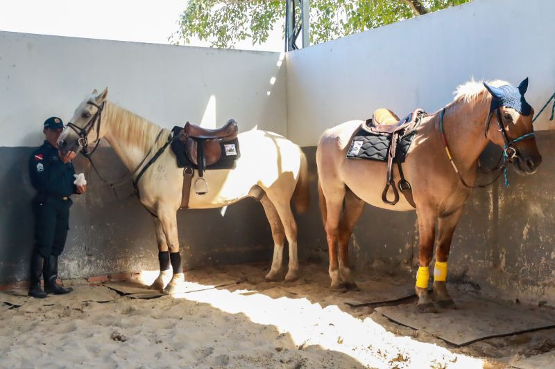  <div class='credito_fotos'>Foto: Bruno Cruz / Ag. Pará &nbsp;&nbsp;|&nbsp;&nbsp; <a href='/midias/2024/originais/20608_f9f8766c-65f2-827d-7fe1-27f734d7262a.jpg' download><i class='fa-solid fa-download'></i> Download</a></div>