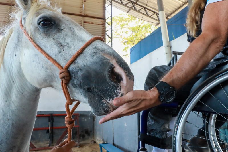  <div class='credito_fotos'>Foto: Bruno Cruz / Ag. Pará &nbsp;&nbsp;|&nbsp;&nbsp; <a href='/midias/2024/originais/20608_fa131bf7-8f82-34d2-9c57-6c9e116a739d.jpg' download><i class='fa-solid fa-download'></i> Download</a></div>