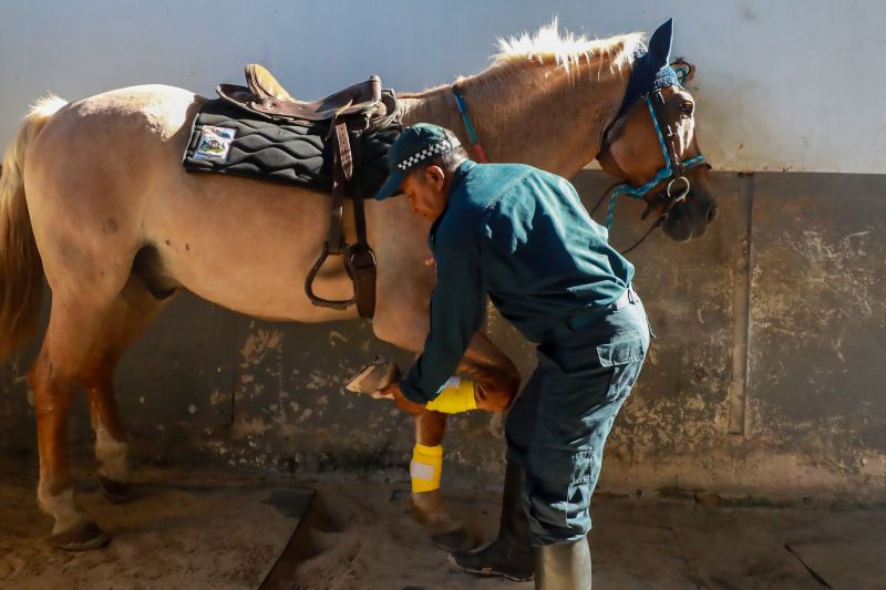  <div class='credito_fotos'>Foto: Bruno Cruz / Ag. Pará &nbsp;&nbsp;|&nbsp;&nbsp; <a href='/midias/2024/originais/20608_fa9b4a50-7923-dd4d-6ddd-c14b9636b8b9.jpg' download><i class='fa-solid fa-download'></i> Download</a></div>