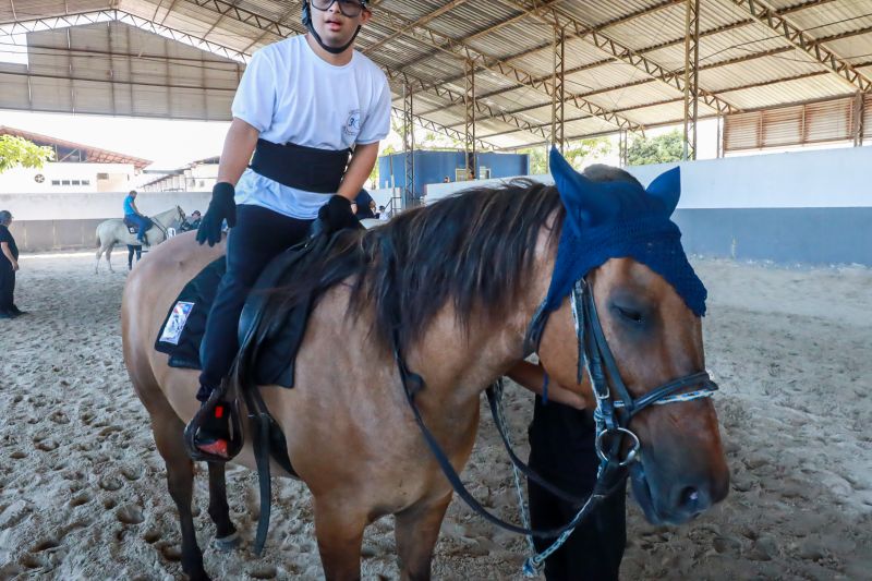  <div class='credito_fotos'>Foto: Bruno Cruz / Ag. Pará &nbsp;&nbsp;|&nbsp;&nbsp; <a href='/midias/2024/originais/20608_fade9df7-c85d-db0c-ca42-0a1268c68220.jpg' download><i class='fa-solid fa-download'></i> Download</a></div>