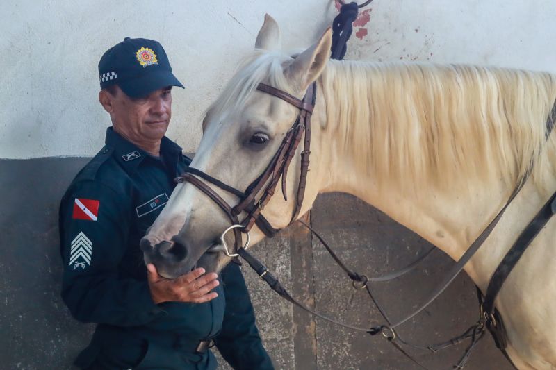  <div class='credito_fotos'>Foto: Bruno Cruz / Ag. Pará &nbsp;&nbsp;|&nbsp;&nbsp; <a href='/midias/2024/originais/20608_ff40a683-8db0-a410-998b-eb60643bde68.jpg' download><i class='fa-solid fa-download'></i> Download</a></div>