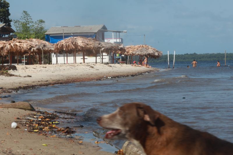  <div class='credito_fotos'>Foto: Bruno Cruz / Ag. Pará &nbsp;&nbsp;|&nbsp;&nbsp; <a href='/midias/2024/originais/20618_12c09014-a55a-aaba-b9fc-fead5d5c23ed.jpg' download><i class='fa-solid fa-download'></i> Download</a></div>