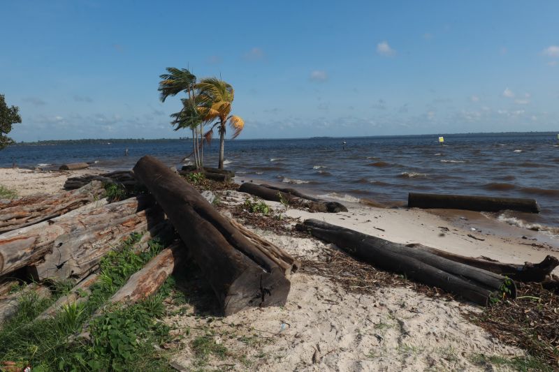  <div class='credito_fotos'>Foto: Bruno Cruz / Ag. Pará &nbsp;&nbsp;|&nbsp;&nbsp; <a href='/midias/2024/originais/20618_7522724a-1ee0-82df-ad4d-9f8038d5abb8.jpg' download><i class='fa-solid fa-download'></i> Download</a></div>