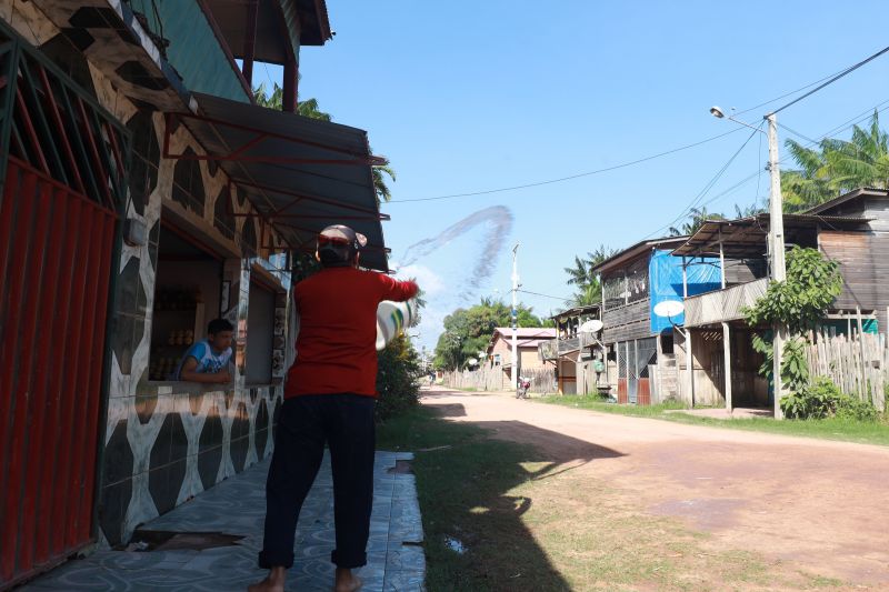  <div class='credito_fotos'>Foto: Bruno Cruz / Ag. Pará &nbsp;&nbsp;|&nbsp;&nbsp; <a href='/midias/2024/originais/20618_8dfe0dbc-9719-4214-a1c8-c35261f993e8.jpg' download><i class='fa-solid fa-download'></i> Download</a></div>