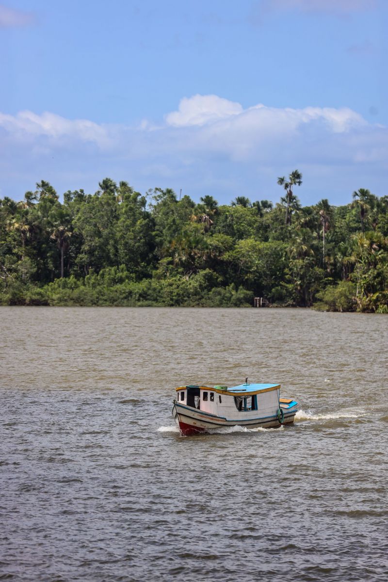  <div class='credito_fotos'>Foto: Bruno Cecim / Ag.Pará &nbsp;&nbsp;|&nbsp;&nbsp; <a href='/midias/2024/originais/20620_44d5afb7-e8a9-3321-e06b-7076ea07ece7.jpg' download><i class='fa-solid fa-download'></i> Download</a></div>