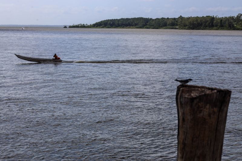  <div class='credito_fotos'>Foto: Bruno Cecim / Ag.Pará &nbsp;&nbsp;|&nbsp;&nbsp; <a href='/midias/2024/originais/20620_6ce0785b-1312-29b7-1691-e3dc7a7ad480.jpg' download><i class='fa-solid fa-download'></i> Download</a></div>