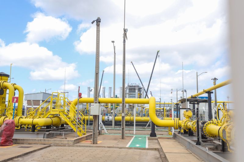  <div class='credito_fotos'>Foto: Marcelo Lelis / Ag. Pará &nbsp;&nbsp;|&nbsp;&nbsp; <a href='/midias/2024/originais/20628_08fbb522-d57e-81ab-cbaa-5c134fbd0188.jpg' download><i class='fa-solid fa-download'></i> Download</a></div>