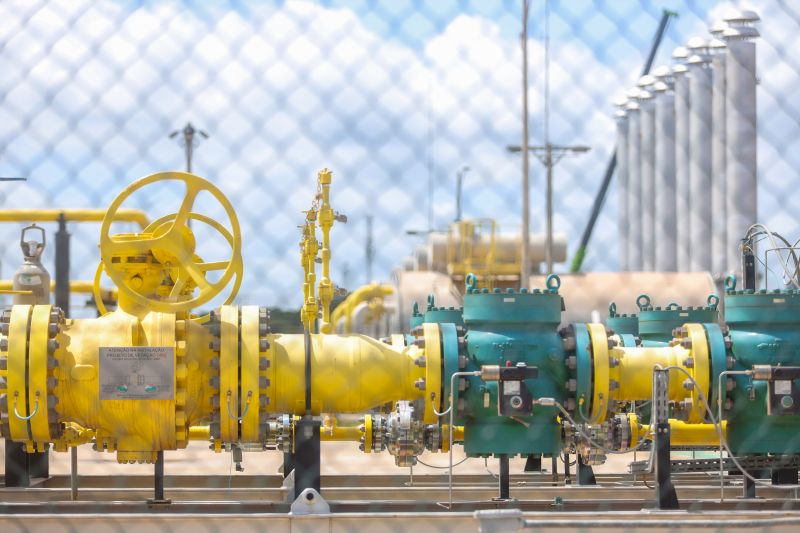  <div class='credito_fotos'>Foto: Marcelo Lelis / Ag. Pará &nbsp;&nbsp;|&nbsp;&nbsp; <a href='/midias/2024/originais/20628_2c1da17d-29d5-47b6-b1f3-320e75aa3185.jpg' download><i class='fa-solid fa-download'></i> Download</a></div>