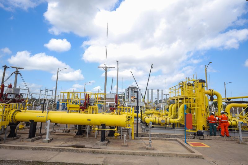  <div class='credito_fotos'>Foto: Marcelo Lelis / Ag. Pará &nbsp;&nbsp;|&nbsp;&nbsp; <a href='/midias/2024/originais/20628_799372e3-7950-83c1-255f-3cd95a7e5dca.jpg' download><i class='fa-solid fa-download'></i> Download</a></div>