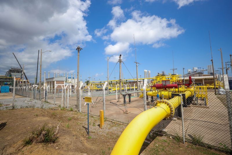  <div class='credito_fotos'>Foto: Marcelo Lelis / Ag. Pará &nbsp;&nbsp;|&nbsp;&nbsp; <a href='/midias/2024/originais/20628_a148f174-cf06-c301-eb3b-9472f047ac8f.jpg' download><i class='fa-solid fa-download'></i> Download</a></div>