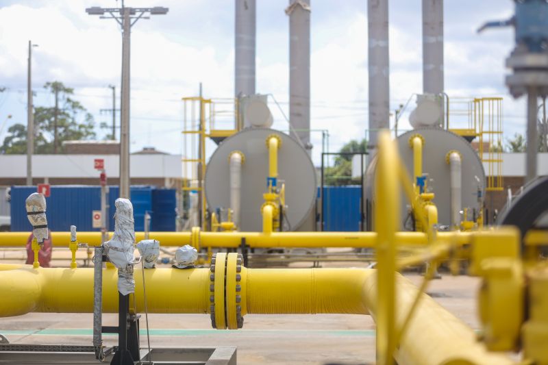  <div class='credito_fotos'>Foto: Marcelo Lelis / Ag. Pará &nbsp;&nbsp;|&nbsp;&nbsp; <a href='/midias/2024/originais/20628_c1d20448-ea26-9020-3207-e25975e3cba8.jpg' download><i class='fa-solid fa-download'></i> Download</a></div>