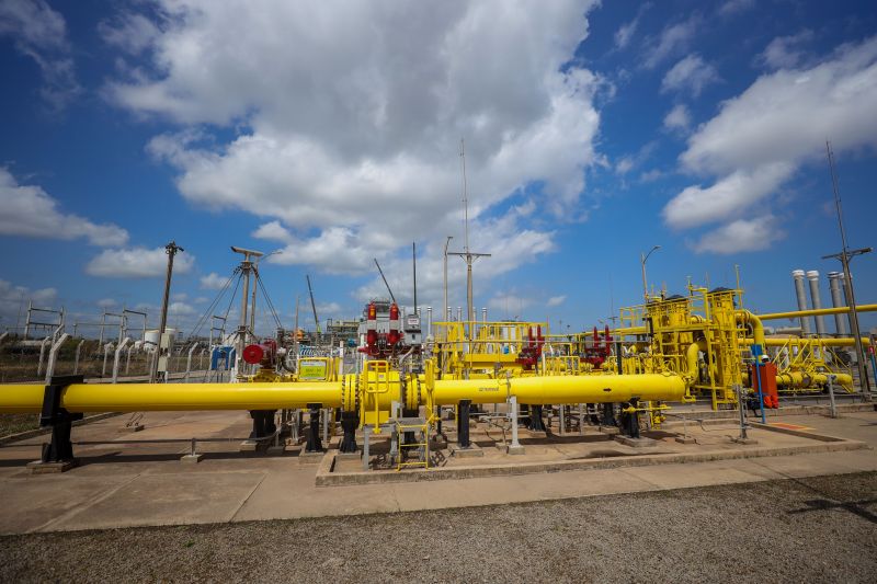  <div class='credito_fotos'>Foto: Marcelo Lelis / Ag. Pará &nbsp;&nbsp;|&nbsp;&nbsp; <a href='/midias/2024/originais/20628_f62ec64f-8d97-7446-c63d-3d777ffa6a3a.jpg' download><i class='fa-solid fa-download'></i> Download</a></div>