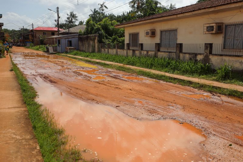 <div class='credito_fotos'>Foto: Rodrigo Pinheiro / Ag.Pará &nbsp;&nbsp;|&nbsp;&nbsp; <a href='/midias/2024/originais/20643_21c1d28c-4b50-d463-c0c6-d495d52dfd12.jpg' download><i class='fa-solid fa-download'></i> Download</a></div>