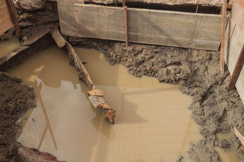  <div class='credito_fotos'>Foto: Alex Ribeiro / Ag. Pará &nbsp;&nbsp;|&nbsp;&nbsp; <a href='/midias/2024/originais/20648_7c6a9633-a1d3-2b52-d049-e1c9d39d59e1.jpg' download><i class='fa-solid fa-download'></i> Download</a></div>