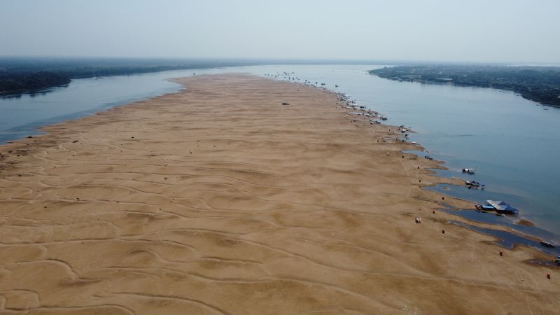  <div class='credito_fotos'>Foto: Augusto Miranda / Ag. Pará &nbsp;&nbsp;|&nbsp;&nbsp; <a href='/midias/2024/originais/20652_a22afe95-f4cd-6a96-4ad1-4cefec3ceb8f.jpg' download><i class='fa-solid fa-download'></i> Download</a></div>