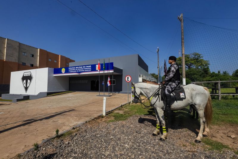  <div class='credito_fotos'>Foto: Alex Ribeiro / Ag. Pará &nbsp;&nbsp;|&nbsp;&nbsp; <a href='/midias/2024/originais/20655_3a014092-7ca5-758b-dc5f-fd47a4463fba.jpg' download><i class='fa-solid fa-download'></i> Download</a></div>