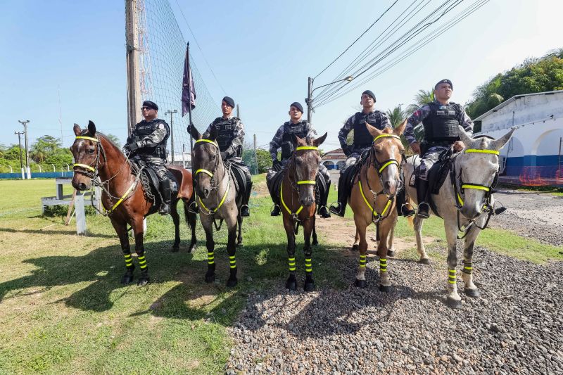  <div class='credito_fotos'>Foto: Alex Ribeiro / Ag. Pará &nbsp;&nbsp;|&nbsp;&nbsp; <a href='/midias/2024/originais/20655_cdd86e99-e878-1ad5-ebb0-e4ea85c57a2a.jpg' download><i class='fa-solid fa-download'></i> Download</a></div>