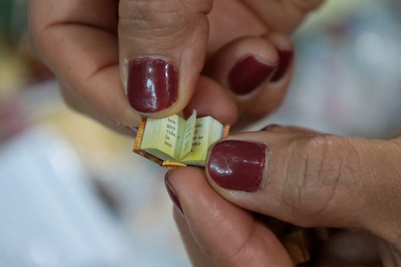  <div class='credito_fotos'>Foto: Pedro Guerreiro / Ag. Pará &nbsp;&nbsp;|&nbsp;&nbsp; <a href='/midias/2024/originais/20679_4ed7e250-9709-bd1e-87f0-a775bd2a7836.jpg' download><i class='fa-solid fa-download'></i> Download</a></div>