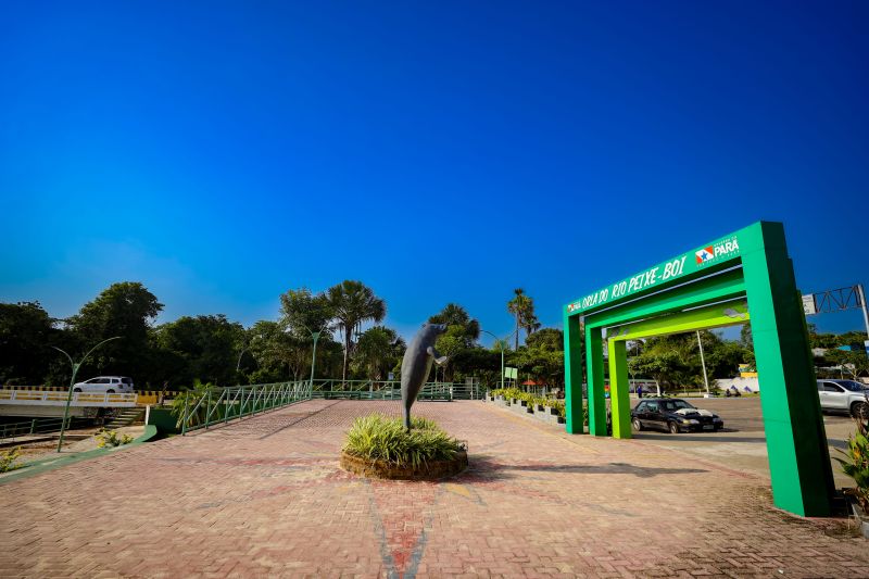  <div class='credito_fotos'>Foto: Marcelo Lelis / Ag. Pará &nbsp;&nbsp;|&nbsp;&nbsp; <a href='/midias/2024/originais/20729_5904c919-6ea3-a40d-6922-4490f5a87a84.jpg' download><i class='fa-solid fa-download'></i> Download</a></div>