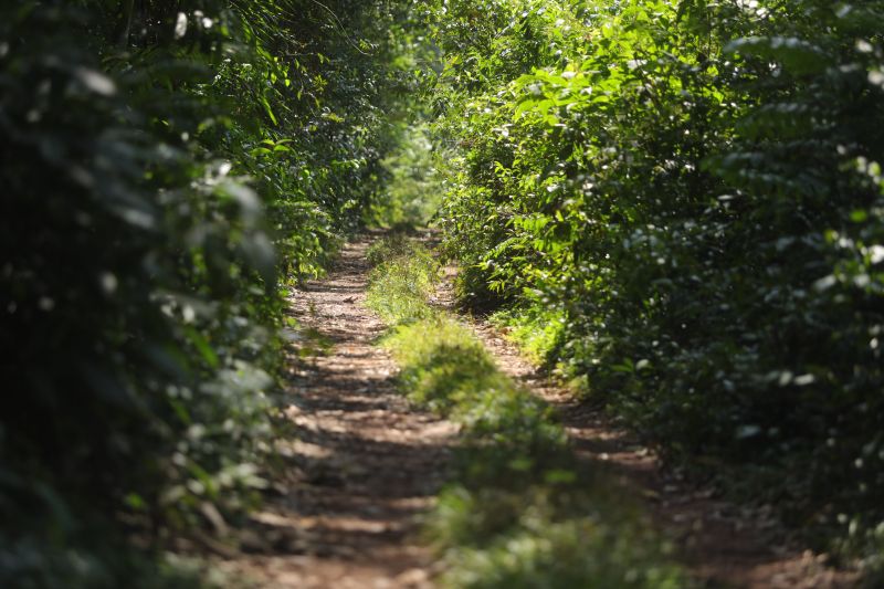  <div class='credito_fotos'>Foto: Marcelo Lelis / Ag. Pará &nbsp;&nbsp;|&nbsp;&nbsp; <a href='/midias/2024/originais/20762_1a79d112-823b-c538-b824-7d312cec644d.jpg' download><i class='fa-solid fa-download'></i> Download</a></div>