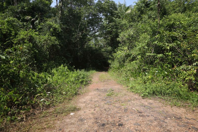  <div class='credito_fotos'>Foto: Marcelo Lelis / Ag. Pará &nbsp;&nbsp;|&nbsp;&nbsp; <a href='/midias/2024/originais/20762_7869a5c2-1a63-12c4-caf2-27a876b3807e.jpg' download><i class='fa-solid fa-download'></i> Download</a></div>