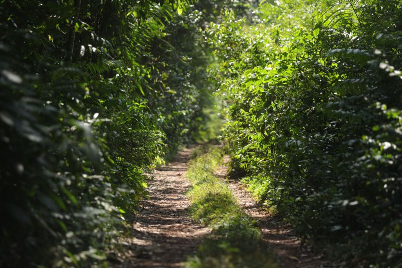  <div class='credito_fotos'>Foto: Marcelo Lelis / Ag. Pará &nbsp;&nbsp;|&nbsp;&nbsp; <a href='/midias/2024/originais/20762_df8b53c1-9c4b-67a9-835e-2ee6c22fb573.jpg' download><i class='fa-solid fa-download'></i> Download</a></div>