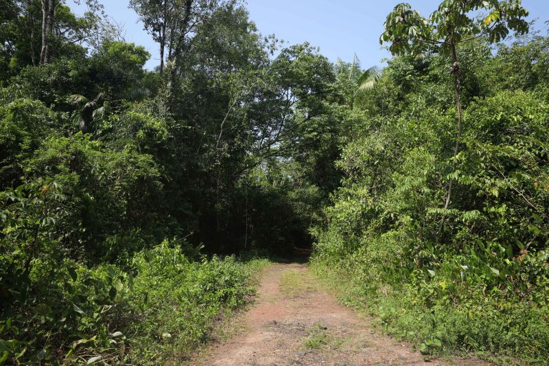  <div class='credito_fotos'>Foto: Marcelo Lelis / Ag. Pará &nbsp;&nbsp;|&nbsp;&nbsp; <a href='/midias/2024/originais/20762_ec26b0a6-45eb-5c1a-e3e2-04e1141ffecc.jpg' download><i class='fa-solid fa-download'></i> Download</a></div>