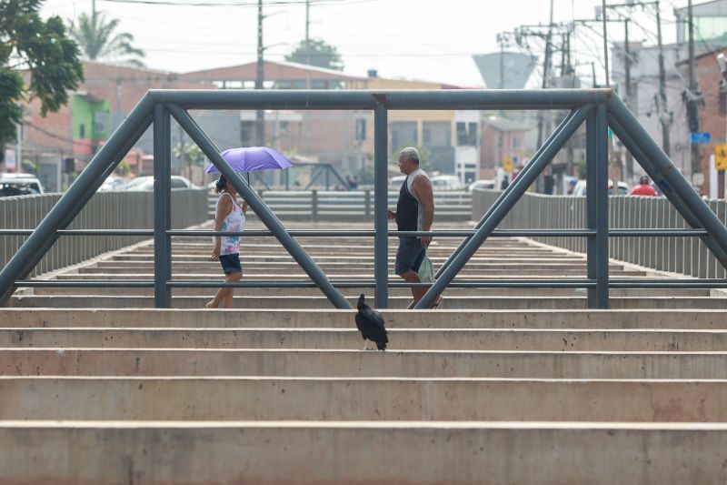  <div class='credito_fotos'>Foto: Bruno Cruz / Ag. Pará &nbsp;&nbsp;|&nbsp;&nbsp; <a href='/midias/2024/originais/20768_828b0551-4af4-b866-8d91-e2379e3848be.jpg' download><i class='fa-solid fa-download'></i> Download</a></div>