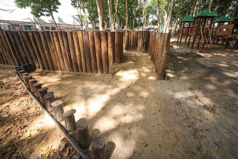  <div class='credito_fotos'>Foto: Marcelo Lelis / Ag. Pará &nbsp;&nbsp;|&nbsp;&nbsp; <a href='/midias/2024/originais/20777_128f8628-2067-72c3-711f-43e5b0bcc3b0.jpg' download><i class='fa-solid fa-download'></i> Download</a></div>