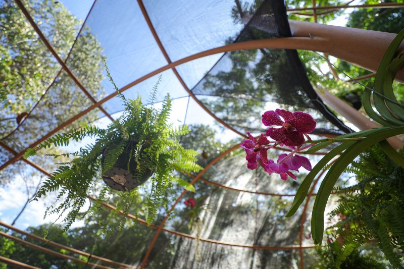  <div class='credito_fotos'>Foto: Marcelo Lelis / Ag. Pará &nbsp;&nbsp;|&nbsp;&nbsp; <a href='/midias/2024/originais/20777_83a5ba06-e34f-1db9-7683-7ead1254ae3b.jpg' download><i class='fa-solid fa-download'></i> Download</a></div>