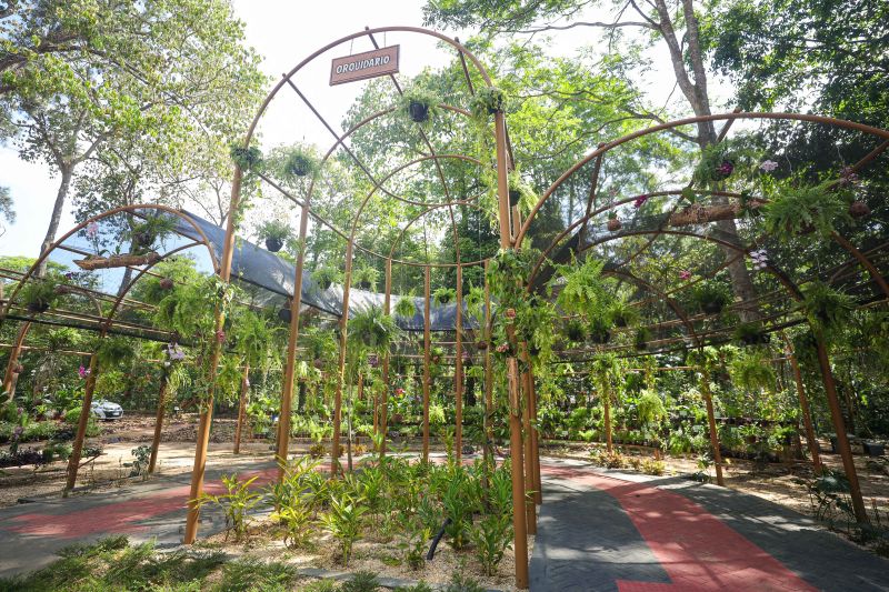  <div class='credito_fotos'>Foto: Marcelo Lelis / Ag. Pará &nbsp;&nbsp;|&nbsp;&nbsp; <a href='/midias/2024/originais/20777_9c7a3789-09ce-9a19-13f6-2b08b43cfed5.jpg' download><i class='fa-solid fa-download'></i> Download</a></div>