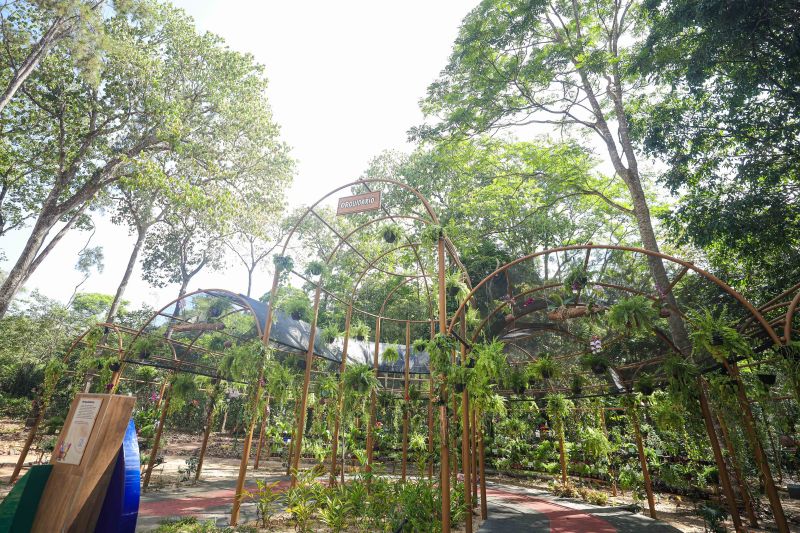  <div class='credito_fotos'>Foto: Marcelo Lelis / Ag. Pará &nbsp;&nbsp;|&nbsp;&nbsp; <a href='/midias/2024/originais/20777_aa5d4d1a-7362-3816-5dc0-15e605d492a7.jpg' download><i class='fa-solid fa-download'></i> Download</a></div>