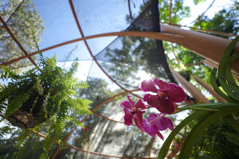  <div class='credito_fotos'>Foto: Marcelo Lelis / Ag. Pará &nbsp;&nbsp;|&nbsp;&nbsp; <a href='/midias/2024/originais/20777_af9c00d6-8346-e275-c9d9-01b85251c1e7.jpg' download><i class='fa-solid fa-download'></i> Download</a></div>