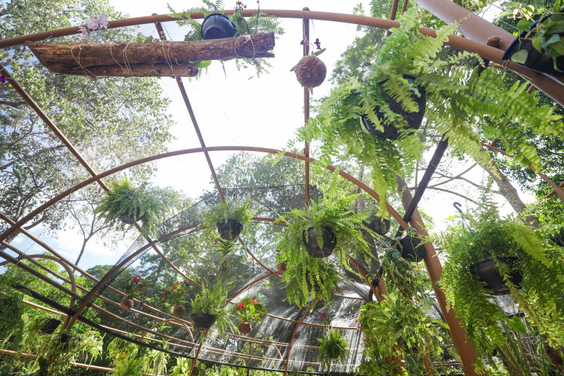  <div class='credito_fotos'>Foto: Marcelo Lelis / Ag. Pará &nbsp;&nbsp;|&nbsp;&nbsp; <a href='/midias/2024/originais/20777_e2f1aafa-f703-51b9-93c9-ada15fbc62dc.jpg' download><i class='fa-solid fa-download'></i> Download</a></div>