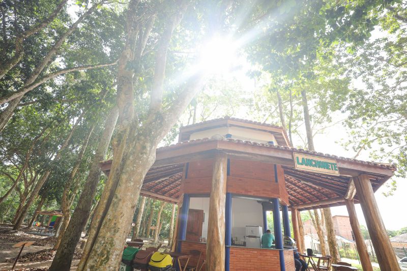  <div class='credito_fotos'>Foto: Marcelo Lelis / Ag. Pará &nbsp;&nbsp;|&nbsp;&nbsp; <a href='/midias/2024/originais/20777_e8851442-493c-6fdf-7671-bf4a58d9f9f6.jpg' download><i class='fa-solid fa-download'></i> Download</a></div>