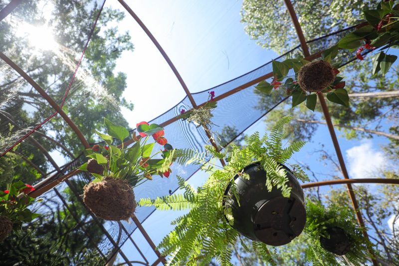  <div class='credito_fotos'>Foto: Marcelo Lelis / Ag. Pará &nbsp;&nbsp;|&nbsp;&nbsp; <a href='/midias/2024/originais/20777_f1e42ff3-01d7-1669-3a46-ab90542dd5f3.jpg' download><i class='fa-solid fa-download'></i> Download</a></div>