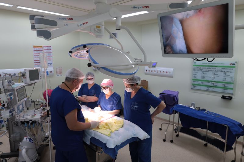  <div class='credito_fotos'>Foto: Pedro Guerreiro / Ag. Pará &nbsp;&nbsp;|&nbsp;&nbsp; <a href='/midias/2024/originais/20794_076755d9-56c5-b88f-053a-2b4e95a49a4b.jpg' download><i class='fa-solid fa-download'></i> Download</a></div>