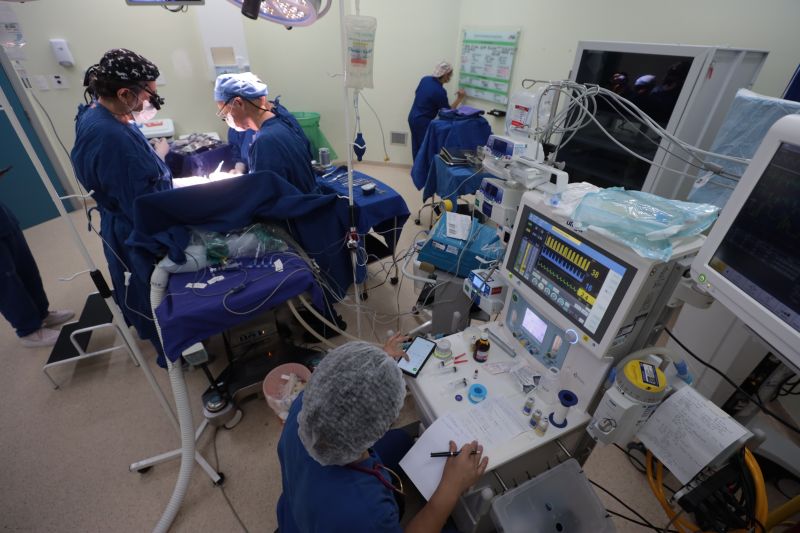  <div class='credito_fotos'>Foto: Pedro Guerreiro / Ag. Pará &nbsp;&nbsp;|&nbsp;&nbsp; <a href='/midias/2024/originais/20794_0e07ceea-5a24-5a53-d489-e92df9f81c9b.jpg' download><i class='fa-solid fa-download'></i> Download</a></div>