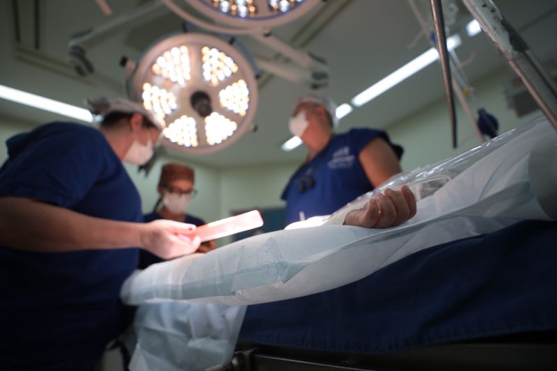  <div class='credito_fotos'>Foto: Pedro Guerreiro / Ag. Pará &nbsp;&nbsp;|&nbsp;&nbsp; <a href='/midias/2024/originais/20794_4702774a-afe3-9bc8-8163-119deb34a929.jpg' download><i class='fa-solid fa-download'></i> Download</a></div>