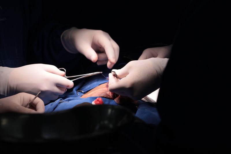  <div class='credito_fotos'>Foto: Pedro Guerreiro / Ag. Pará &nbsp;&nbsp;|&nbsp;&nbsp; <a href='/midias/2024/originais/20794_68711f6e-834d-2655-abb7-3992fc85a5b2.jpg' download><i class='fa-solid fa-download'></i> Download</a></div>