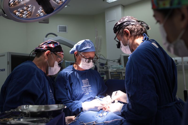  <div class='credito_fotos'>Foto: Pedro Guerreiro / Ag. Pará &nbsp;&nbsp;|&nbsp;&nbsp; <a href='/midias/2024/originais/20794_8e7e3e5f-2af4-f84d-bd61-81363b306133.jpg' download><i class='fa-solid fa-download'></i> Download</a></div>