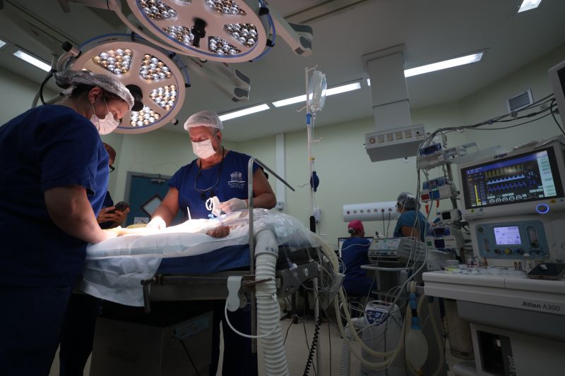  <div class='credito_fotos'>Foto: Pedro Guerreiro / Ag. Pará &nbsp;&nbsp;|&nbsp;&nbsp; <a href='/midias/2024/originais/20794_a07efa15-9b1b-de4b-e740-229de268e96a.jpg' download><i class='fa-solid fa-download'></i> Download</a></div>