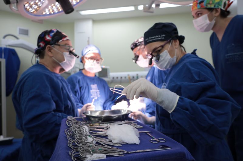  <div class='credito_fotos'>Foto: Pedro Guerreiro / Ag. Pará &nbsp;&nbsp;|&nbsp;&nbsp; <a href='/midias/2024/originais/20794_ab2f1280-69d0-73cd-4dea-4f4865f95d34.jpg' download><i class='fa-solid fa-download'></i> Download</a></div>