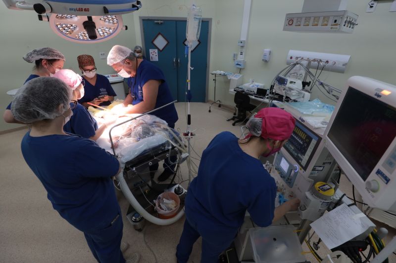  <div class='credito_fotos'>Foto: Pedro Guerreiro / Ag. Pará &nbsp;&nbsp;|&nbsp;&nbsp; <a href='/midias/2024/originais/20794_f0549321-e9cd-5a4c-e630-ce8c2ffc4a3b.jpg' download><i class='fa-solid fa-download'></i> Download</a></div>