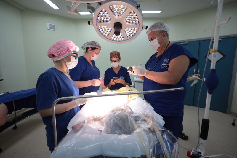  <div class='credito_fotos'>Foto: Pedro Guerreiro / Ag. Pará &nbsp;&nbsp;|&nbsp;&nbsp; <a href='/midias/2024/originais/20794_f9f3962c-5240-6dc1-8b33-4db41cd713ac.jpg' download><i class='fa-solid fa-download'></i> Download</a></div>