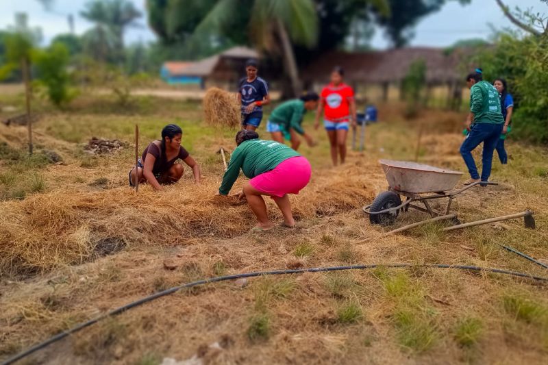 Matéria - Formação de agentes agroflorestais avança na Terra Indígena Alto Rio Guamá com foco em sustentabilidade

Fotos: DGBio/IDEFLOR-Bio/Divulgação


 <div class='credito_fotos'>Foto: ASCOM / IDEFLOR-BIO &nbsp;&nbsp;|&nbsp;&nbsp; <a href='/midias/2024/originais/20801_927b481c-4261-a443-7100-532eb4e82874.jpg' download><i class='fa-solid fa-download'></i> Download</a></div>