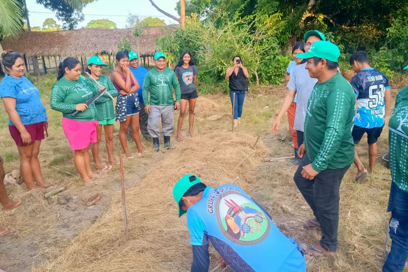 Matéria - Formação de agentes agroflorestais avança na Terra Indígena Alto Rio Guamá com foco em sustentabilidade

Fotos: DGBio/IDEFLOR-Bio/Divulgação


 <div class='credito_fotos'>Foto: ASCOM / IDEFLOR-BIO &nbsp;&nbsp;|&nbsp;&nbsp; <a href='/midias/2024/originais/20801_9948331e-e82e-3bd8-309e-23ef2c5dfccd.jpg' download><i class='fa-solid fa-download'></i> Download</a></div>